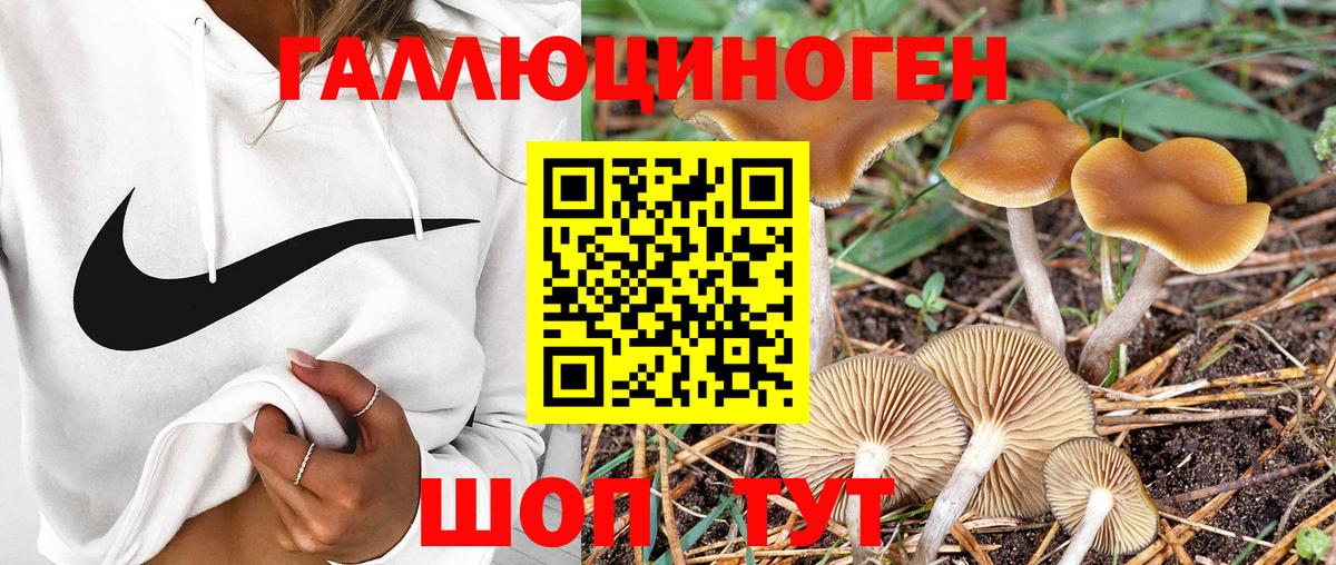 Нижнекамск  купить закладку  Вход с VPN  Псилоцибиновые грибы мухоморы 