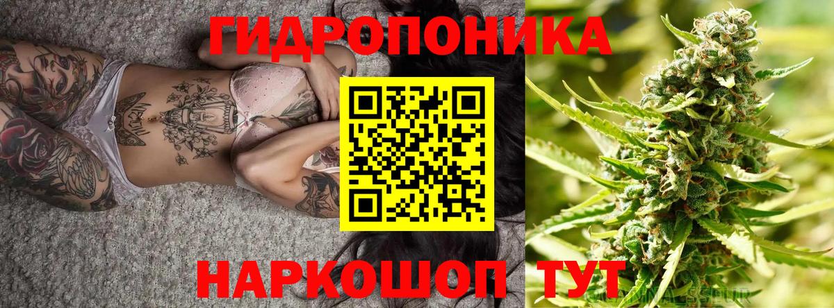 Конопля LSD WEED  Вход с VPN  Нижнекамск  Канабис MAZAR  Конопля Ganja 